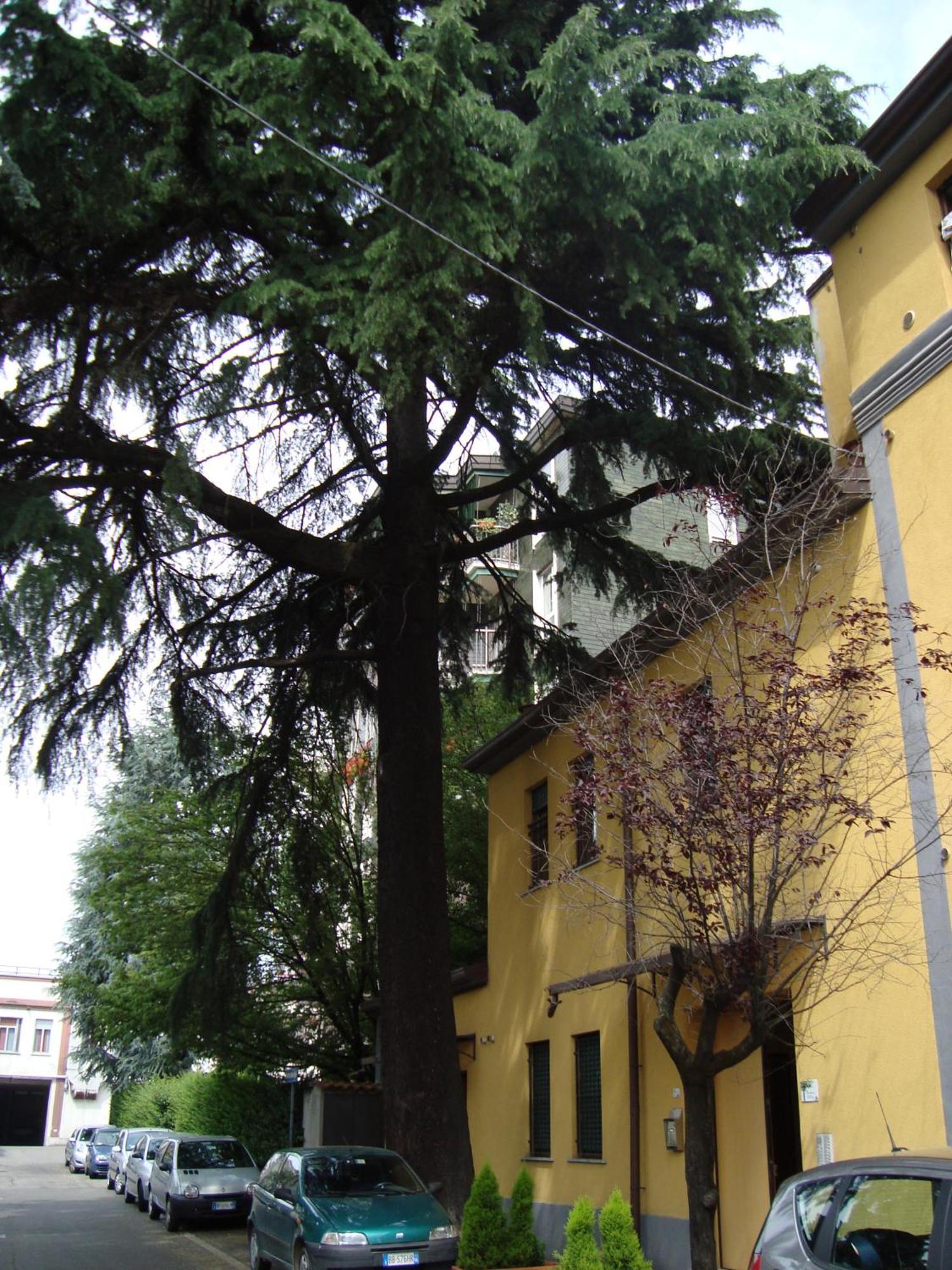 Residence Il Pino Saronno Extérieur photo