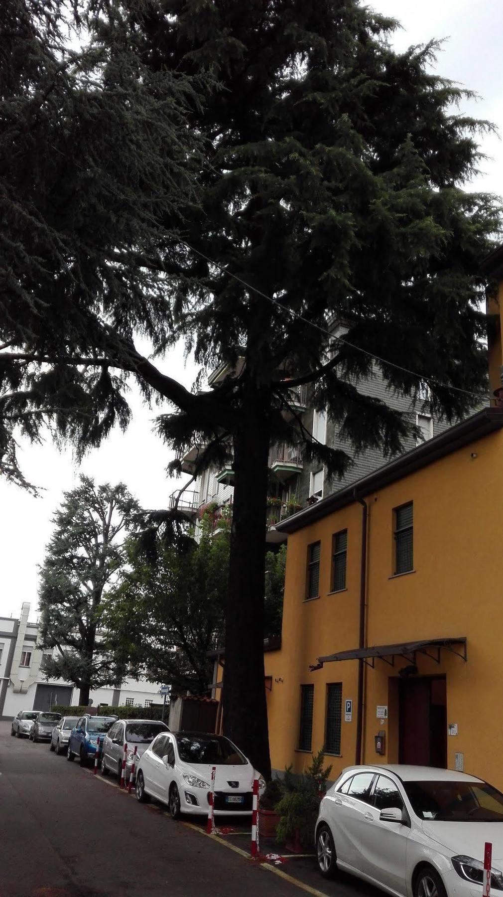 Residence Il Pino Saronno Extérieur photo